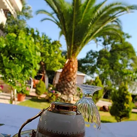 Olga Lounge Lefkáda