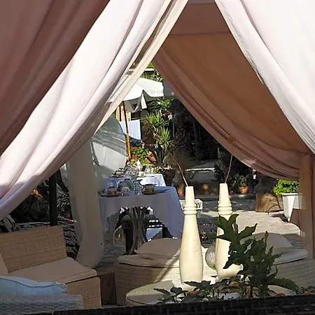 Olga Lounge Hotel