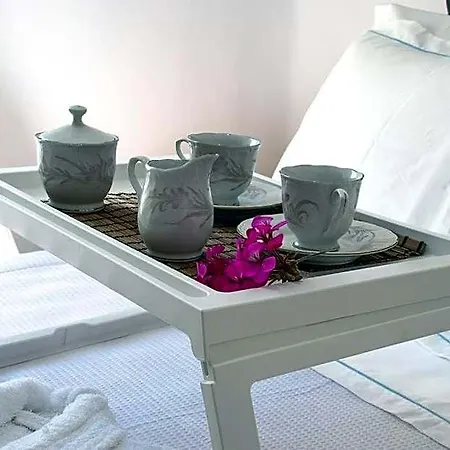 Olga Lounge Hotel