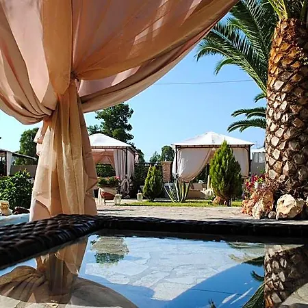 Olga Lounge Hotel 3*